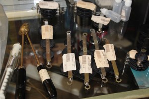 Story about The Nature And Discovery Store, New Ringgold, 2-28-2015 (50)