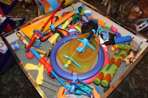 Story about The Nature And Discovery Store, New Ringgold, 2-28-2015 (51)