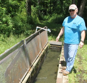 TamaquaArea.com File Photo / William Weaver stands over the hatchery, which was damaged when thieves cut it open to steal the fish.