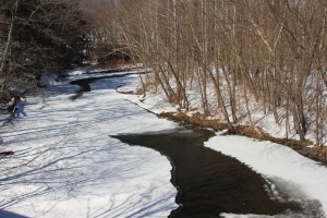 View of Little Schuylkill River from SR443, New Ringgold, 2-28-2015 (1)