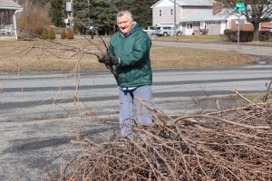 Guy Spring Cleaning, Tree Branches, Hometown, 4-4-2015 (6)