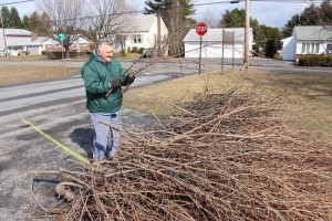 Guy Spring Cleaning, Tree Branches, Hometown, 4-4-2015 (8)