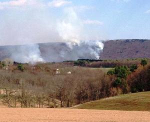 Kelly Boerner / Special to TamaquaArea.com