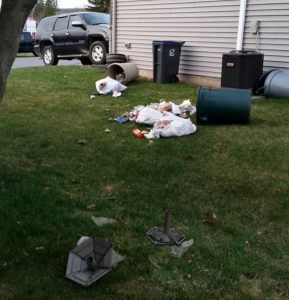 Special to TamaquaArea.com