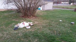 Special to TamaquaArea.com