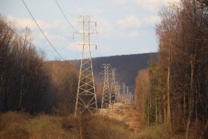 Powerlines, Hometown, Rush Township, 4-21-2015 (10)