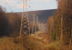 Powerlines, Hometown, Rush Township, 4-21-2015 (5)