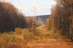Powerlines, Hometown, Rush Township, 4-21-2015 (8)