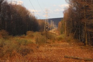 Powerlines, Hometown, Rush Township, 4-21-2015 (9)