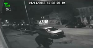 Strolling Bear, from Lacey Gonzalez-Horan, Lansford 2