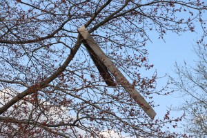 Trees Down, Hometown, 4-21-2015 (12)