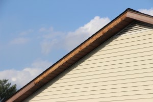 Trees Down, Hometown, 4-21-2015 (15)