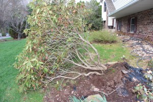Trees Down, Hometown, 4-21-2015 (21)