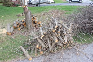 Trees Down, Hometown, 4-21-2015 (26)