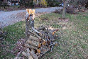 Trees Down, Hometown, 4-21-2015 (28)