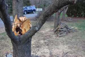 Trees Down, Hometown, 4-21-2015 (35)