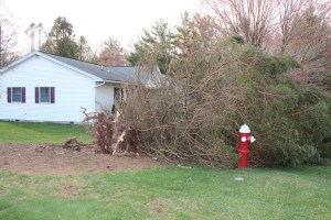 Trees Down, Hometown, 4-21-2015 (39)