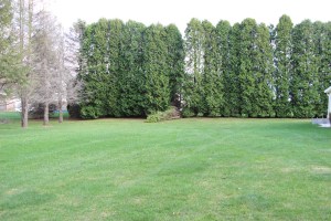 Trees Down, Hometown, 4-21-2015 (4)