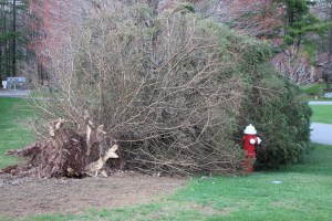 Trees Down, Hometown, 4-21-2015 (7)