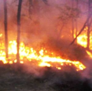 Thomas Nelson/Special to TamaquaArea.com