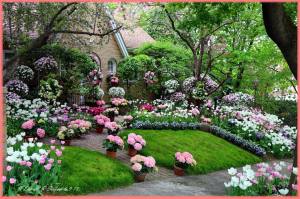 5-9-2015, Donnie's Photography, Donald Serfass, dated 5-9-2015, 6,000 Tulips