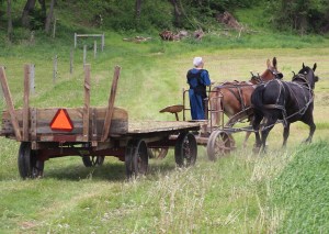 Amish, Lancaster County, Pennsyvlania, 5-12-2015 (2) - Copy