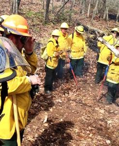 Special to TamaquaArea.com