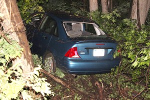 Car Into Woods, Hometown Hill, SR309, Hometown, 5-18-2015 (22)