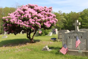 Flags, Flowers, Ss. Peter and Pauls' Lithuanian Cemetery, Owl Creek Road, Tamaqua (17)