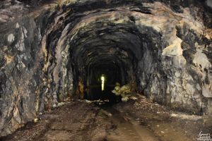 Lofty Tunnel, from Dominic Deeble, Kline Township, 5-25-2015 (1)