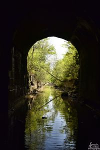 Lofty Tunnel, from Dominic Deeble, Kline Township, 5-25-2015 (2)