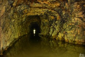 Dominic Deeble/Special to TamaquaArea.com