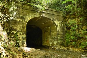 Lofty Tunnel, from Dominic Deeble, Kline Township, 5-25-2015 (4)