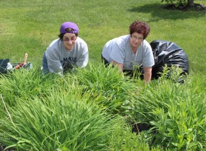 Volunteers Weeding the Depot Square Park, Tamaqua, 5-22-2015 (8)