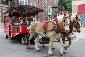 25th Annual Tamaqua Summerfest, Downtown Tamaqua, 6-21-2015 (349)