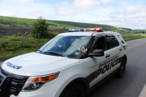 35th Annual Shenandoah Coal Cracker 10K, Shenandoah, 6-13-2015 (81)