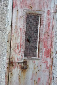 6-29-2015, Photo Quest (2)