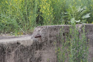 6-30-2015, Photo Quest (4)