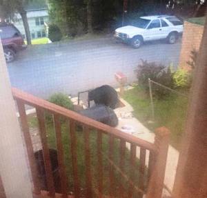 Julie DeAngelo / Special to TamaquaArea.com