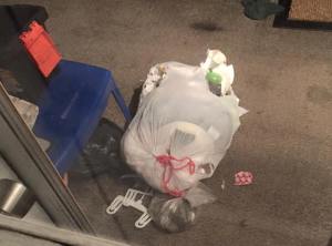 Bear Somewhere In Dutch Hill section of Tamaqua, 6-25-2015 - Copy