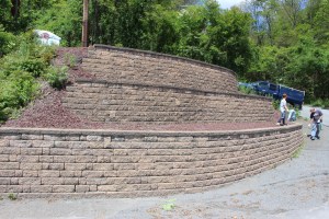 Father, Son Pulling Weeds, Owl Creek Road Entrance Park, Tamaqua, 6-6-2015 (9)