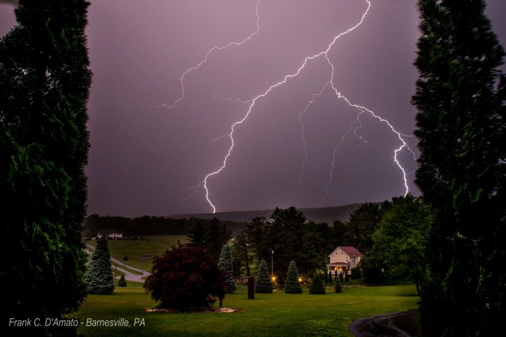 Frank D'Amato / Special to TamaquaArea.com