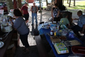 Marian Class Reunion, 53rd, West Penn Community Park, West Penn, 6-13-2015 (20)