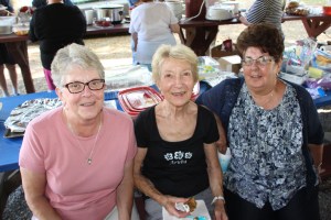 Marian Class Reunion, 53rd, West Penn Community Park, West Penn, 6-13-2015 (5)