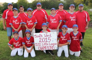Tamaqua Little League Parade, Broad Street, Tamaqua, 6-21-2015 (228)