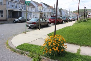 7-20-2015, Photo Quest (4)