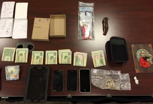 7-28-2015, Drug Bust, via Rush Township Police Department (2)