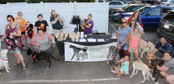 Pawsitively Purrfect Rescue, Skipper Dippers, Rush Township, 6-24-2015 (6)