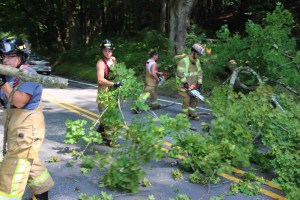 Tree Down, Tuscarora Park Road, Rush Township, 7-29-2015 (16)