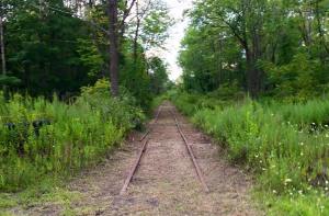 Photos of Train Tracks, from Jeff Knadler, Lansford, 8-12-2015 (1)